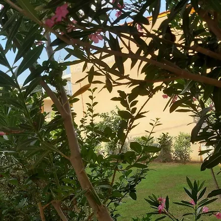 Ntemos Apartamento Tolón